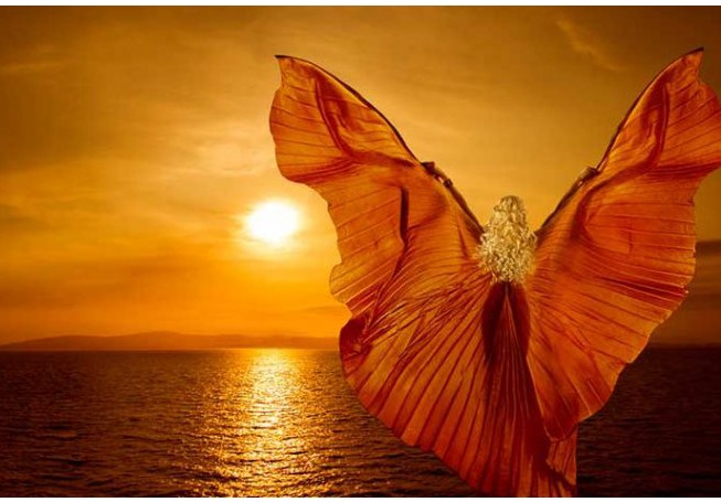 Apport